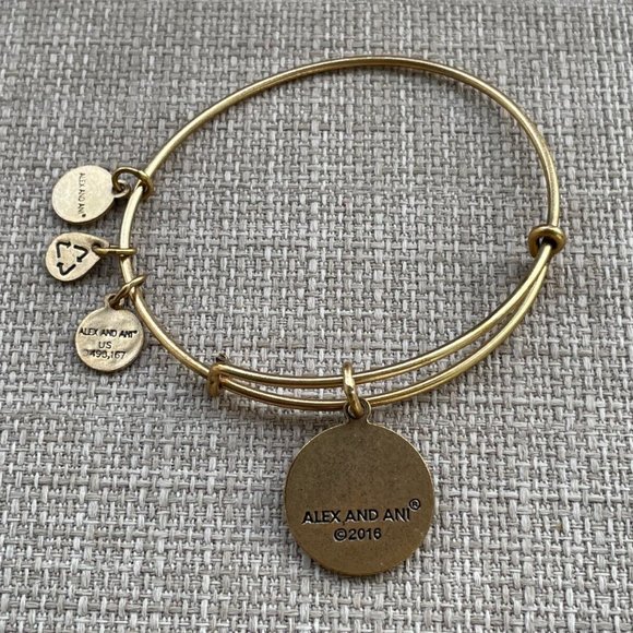 Alex And Ani Bracelet United State COAST GUARD Wrist Band Gold Tone Adjustable - Picture 4 of 8